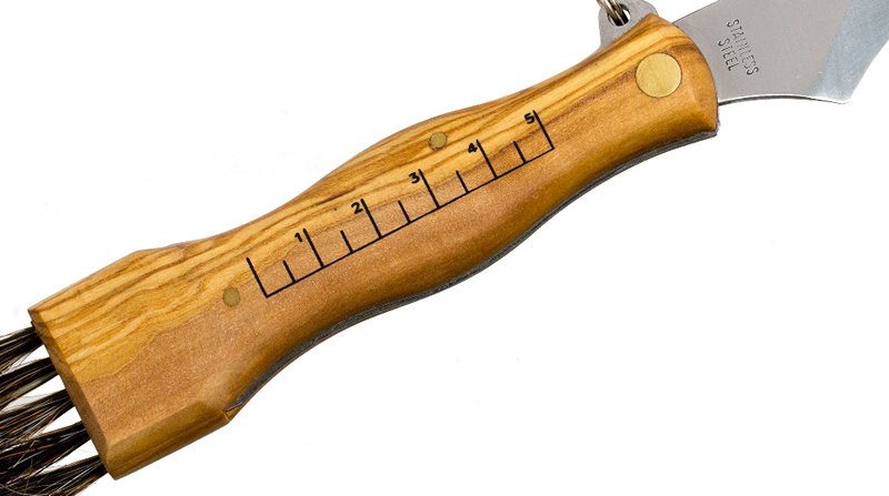 Линейка на рукояти клинка это средство оценки размера трофея и возможности забрать гриб с собой. image8.jpg