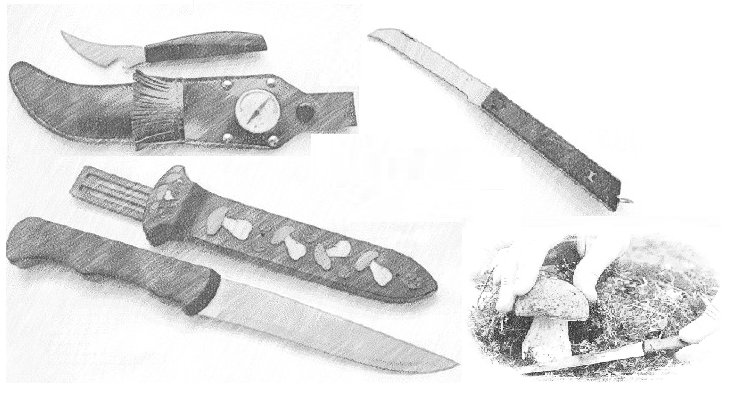 Ножи для сбора грибов: «сделано в СССР». image2.jpg