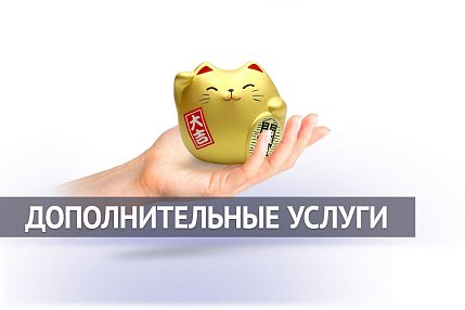 Рассрочка и кредит