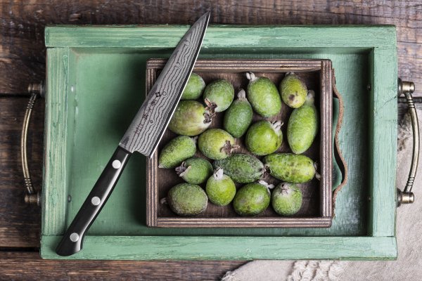 Японский нож TOJIRO F-333