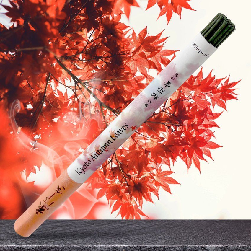 Фотография Благовония Shoyeido Kyonishiki 122416